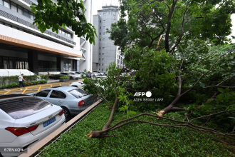Hong Kong hit by strong winds, heavy rain as Typhoon Wipha skirts past